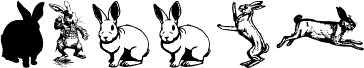 Podgląd czcionki Rabbit