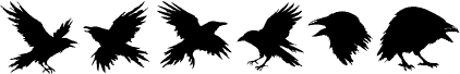Raven Storm Symbols PERSONAL Regular