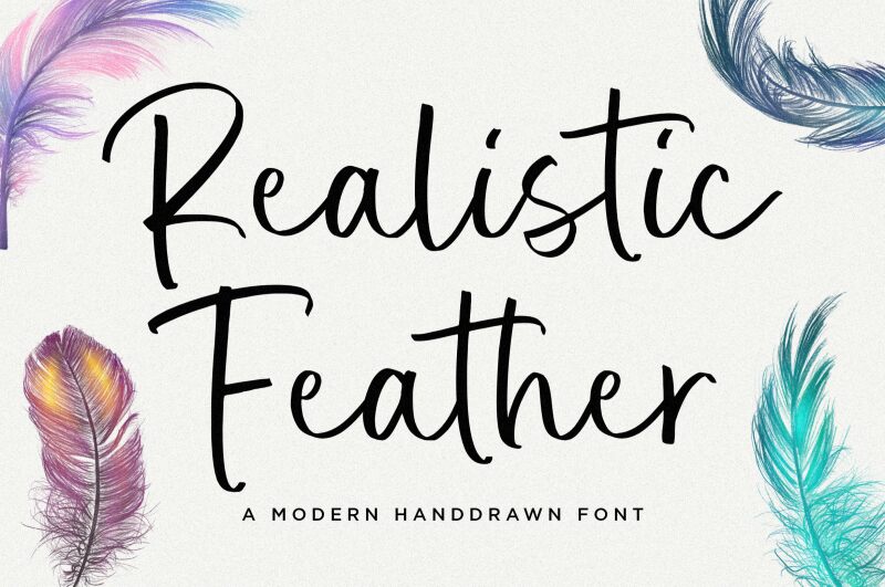 Realistic Feather 字体