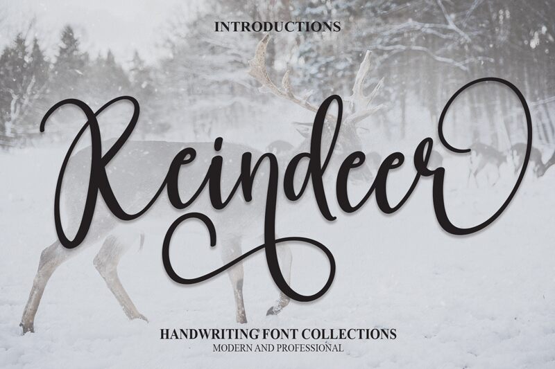 Reindeer 字体