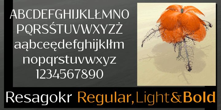 Resagokr Czcionka