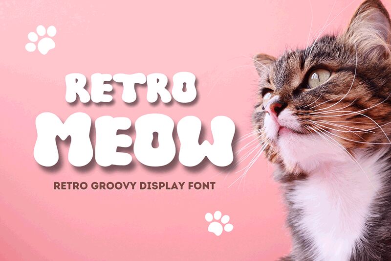 RETRO MEOW Schriftart