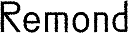 Remond Rough Regular Demo
