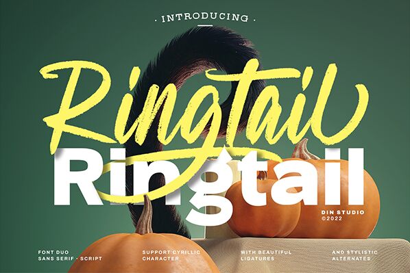 Ringtail Sans Serif Czcionka