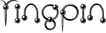 ringpin trial version