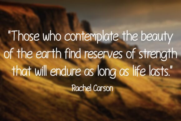 Rosemary Handwriting Czcionka