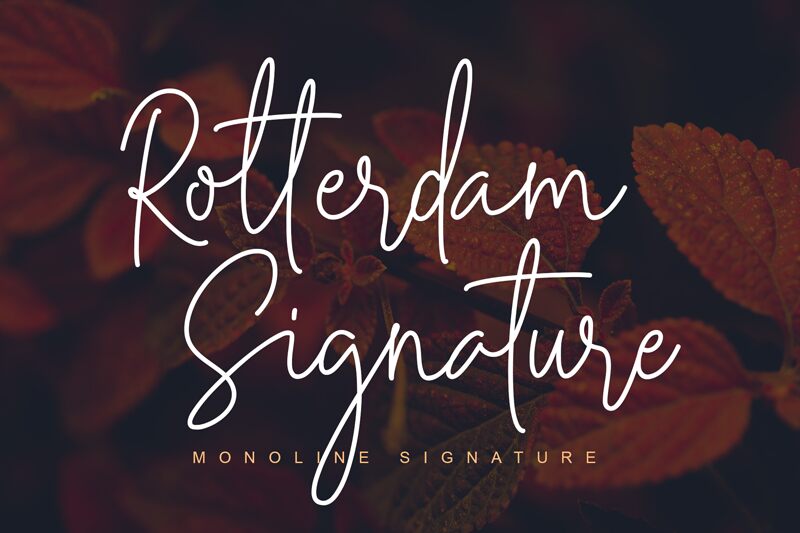 Rotterdam Signature Schriftart