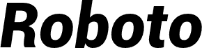 Roboto Bold font