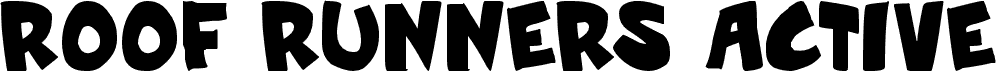 Roof runners active Bold