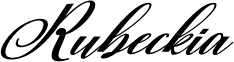 Preview of the Rubeckia Italic font