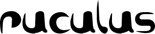 ruculus bold Bold