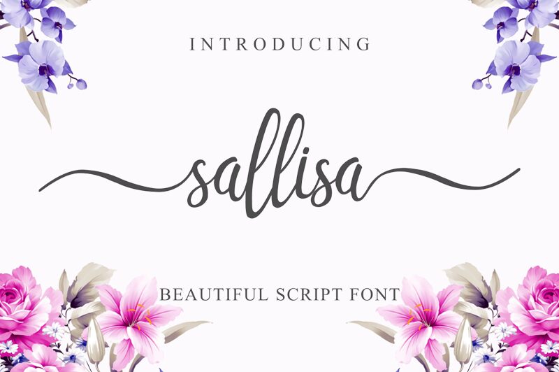 Sallisa 字体