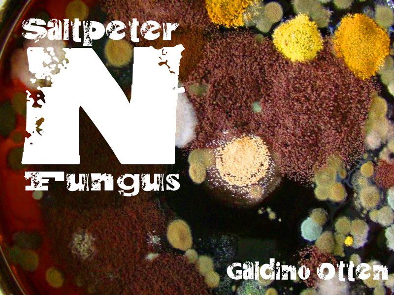 Saltpeter N Fungus Schriftart