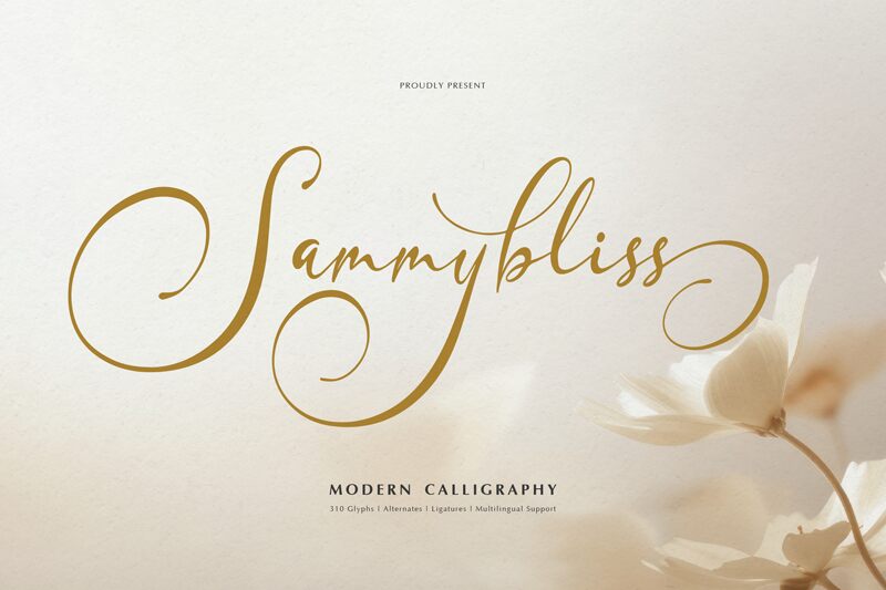Sammybliss — Presentación de la fuente