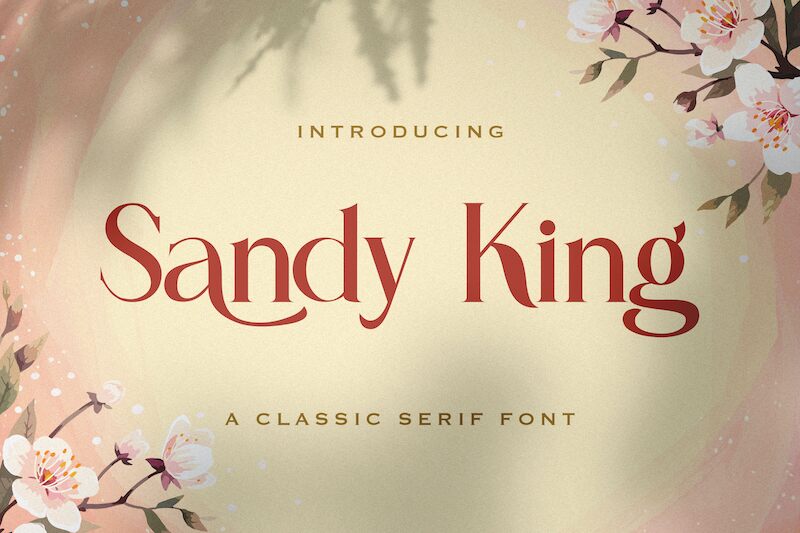 Sandy King Carattere