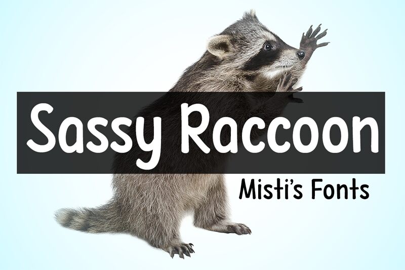 Sassy Raccoon Schriftart