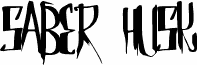 SaberHusk