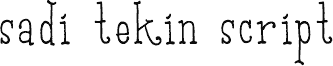Sadi Tekin Script Regular