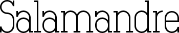 Salamandre