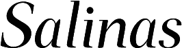 Salinas Demo Italic
