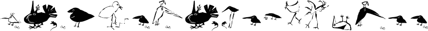 SaulsRandomBirds