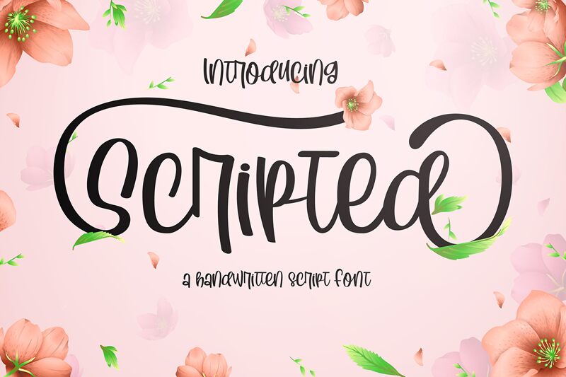 Scripted Free Personal Used font | Fonts2u.com