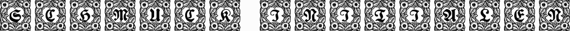 Schmuck-Initialen 1