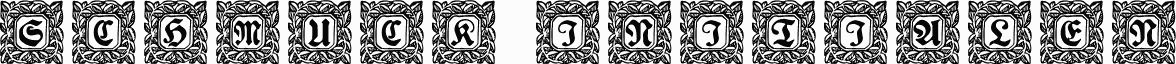 Schmuck-Initialen 2