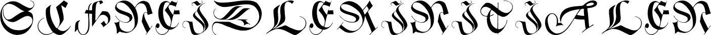 Preview of the SchneidlerInitialen font
