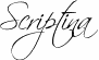 Scriptina