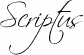Scriptus