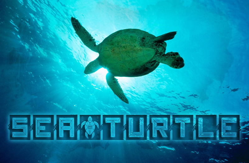 Sea&Turtle Schriftart