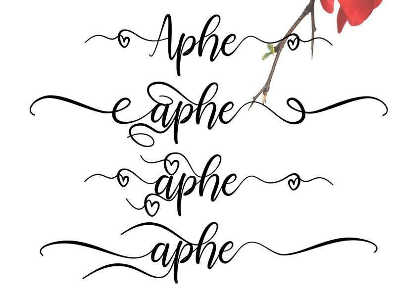 Selamyts Druh písma