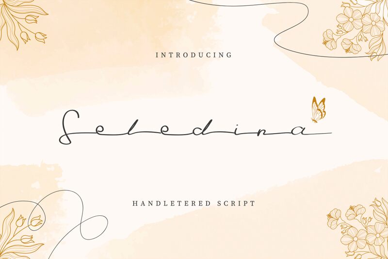 Seledina 字体