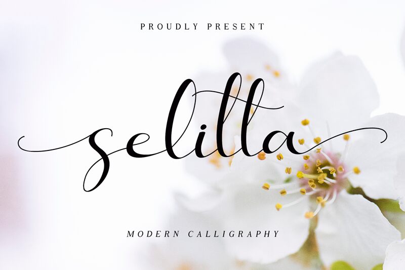 Selitta フォント