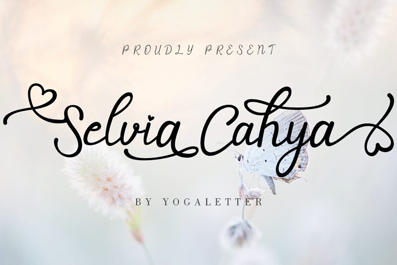 Selvia Cahya 字体