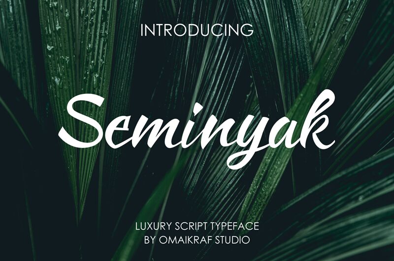 Seminyak 字体
