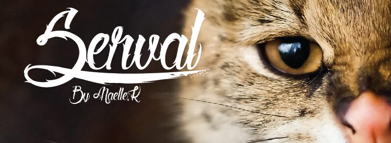 Serval Schriftart