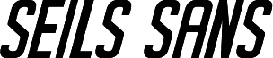 SeilsSans-Italic