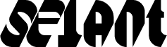 Selant DEMO
