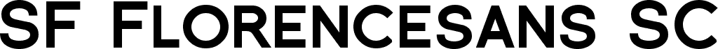 SF Florencesans SC Black