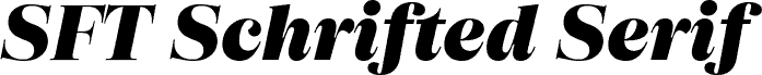 SFT Schrifted Serif TRIAL D Black Italic