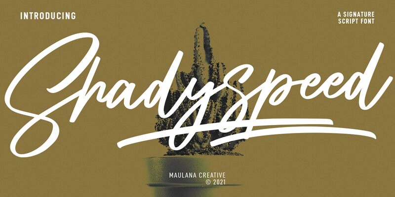 Shadyspeed Druh písma