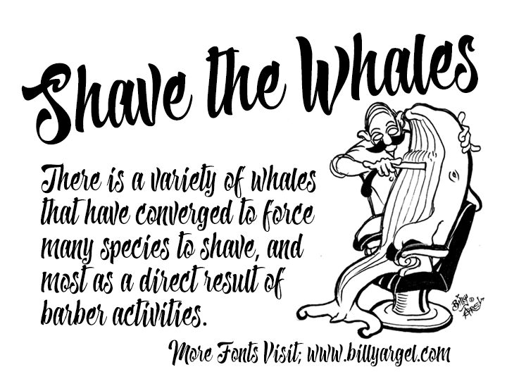Shave the Whales Schriftart