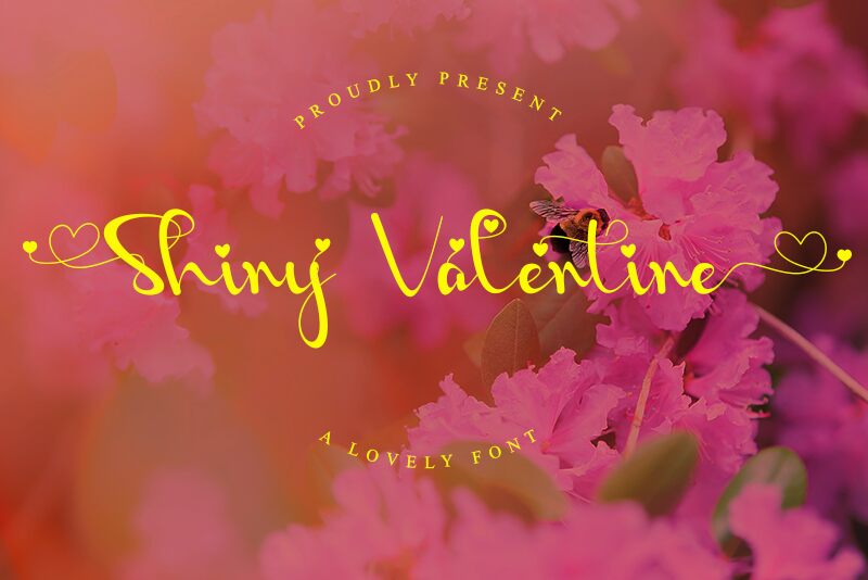 Shiny Valentine Fuente