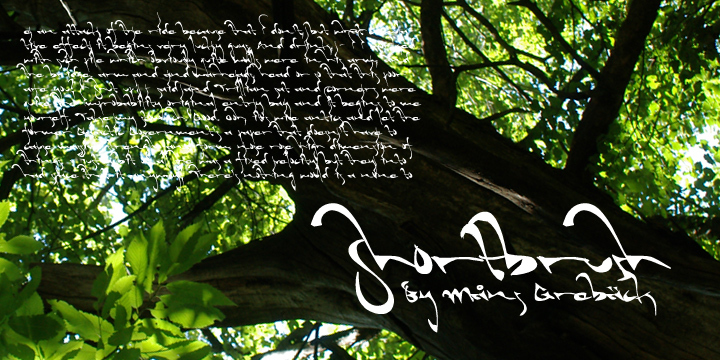 Shortbrush Carattere