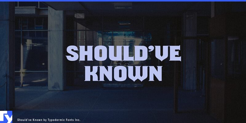 Shouldve Known Shaded Schriftart