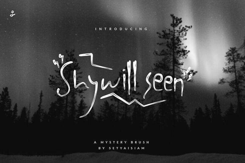 Shywill Seen Carattere