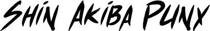 Shin Akiba Punx Bold Italic