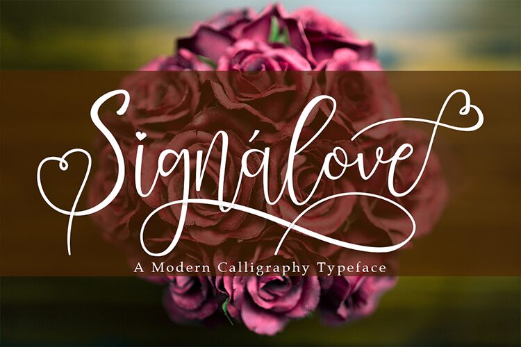 Signalove Schriftart